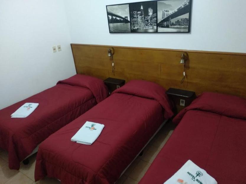 Hotel Romi Колония дел Сакременто Екстериор снимка